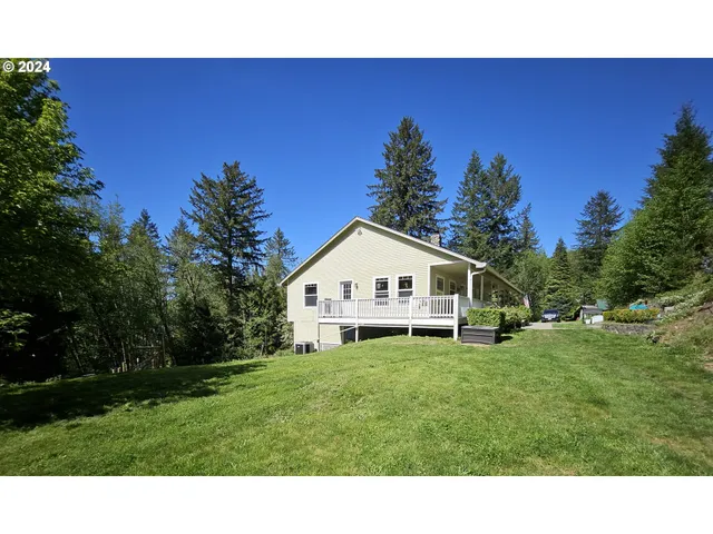 a backyard of a house with a tree