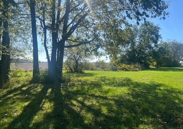 6030 Lauer Road Prospect, OH 43342 - Photo 11 of 19 11