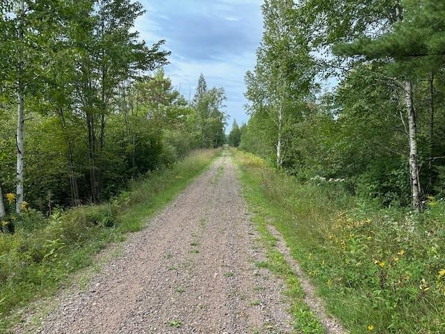 0 Dahl Road Ogema, WI 54459 - Photo 17 of 19