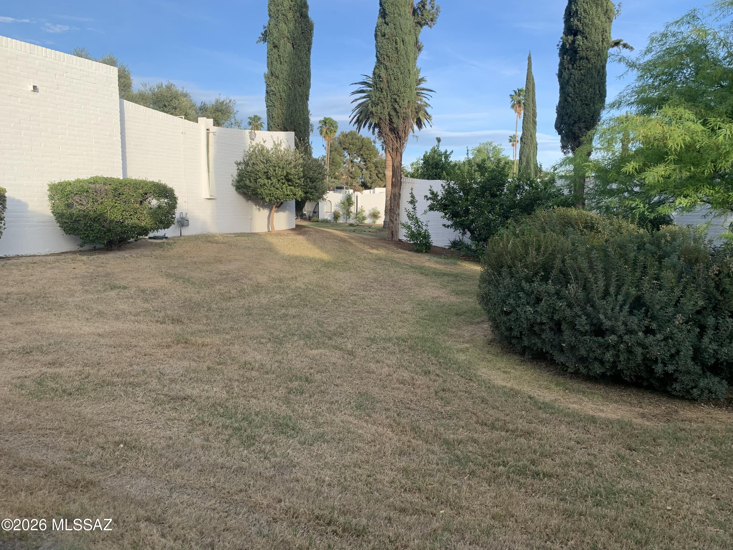 719 West Las Lomitas Road Tucson, AZ 85704 - Photo 16 of 44 a view of a street with potted plants and a large tree