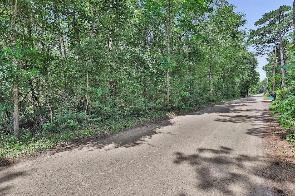 0 Payne Road Conroe, TX 77302 - Photo 12 of 14