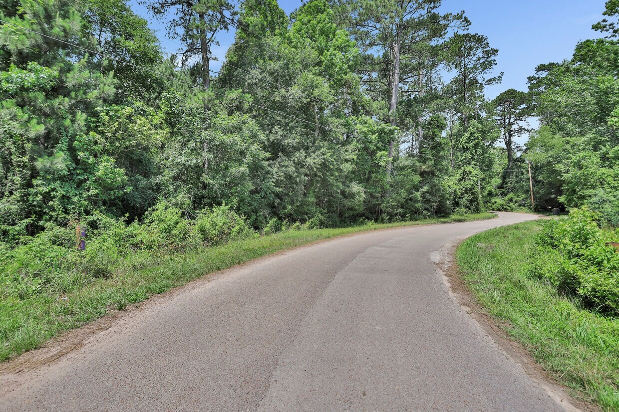 0 Payne Road Conroe, TX 77302 - Photo 13 of 14