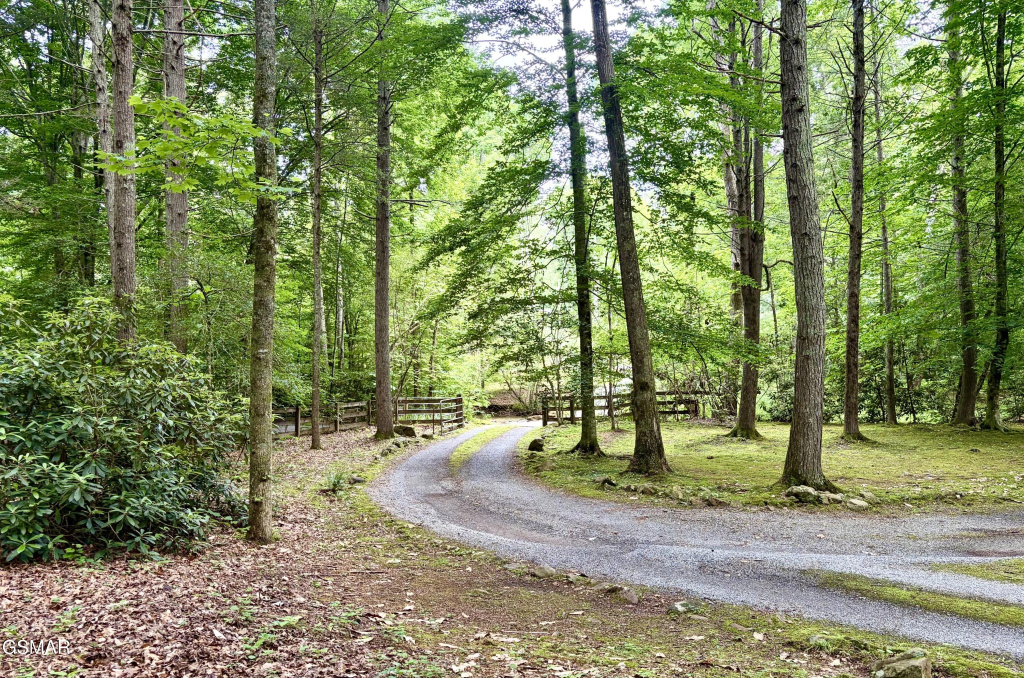 2876 McMahan Sawmill Road Sevierville, TN 37862 - Photo 5 of 36 Gallery Image 5