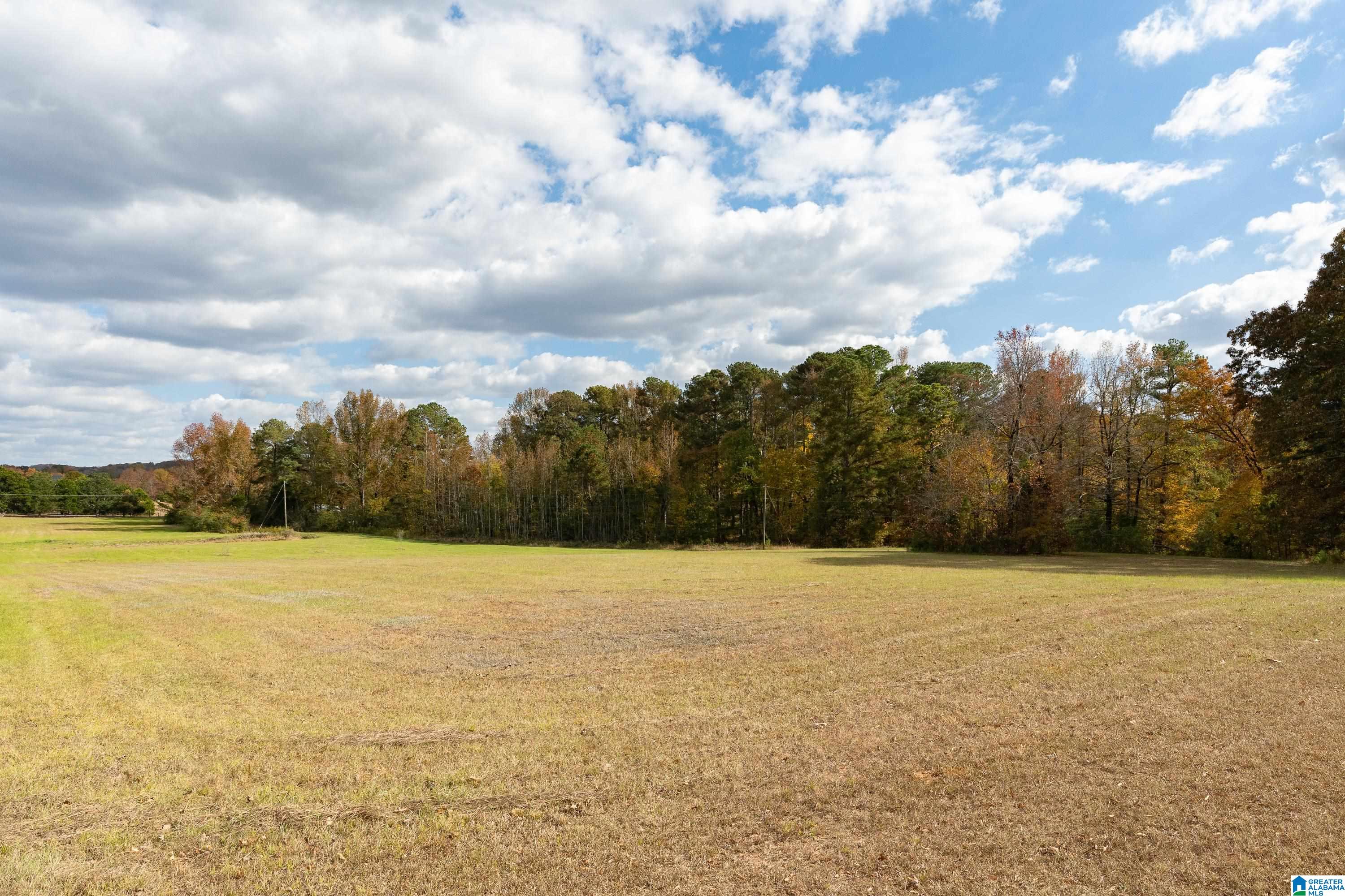 7260 Cavern Road Trussville, AL 35173 - Photo 68 of 91