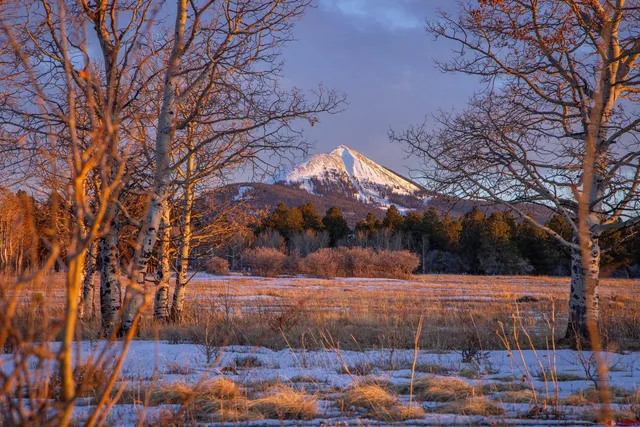 a view of outdoor space with lots of trees