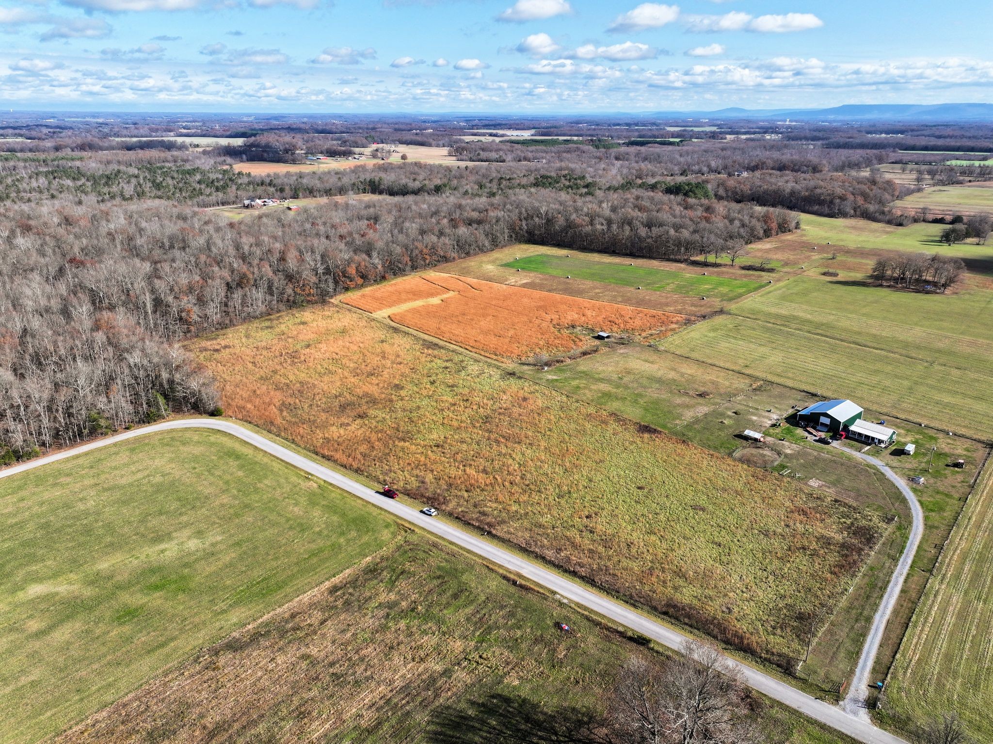0 McAfee Road Morrison, TN 37357 - Photo 3 of 10 a view of a yard with an outdoor space