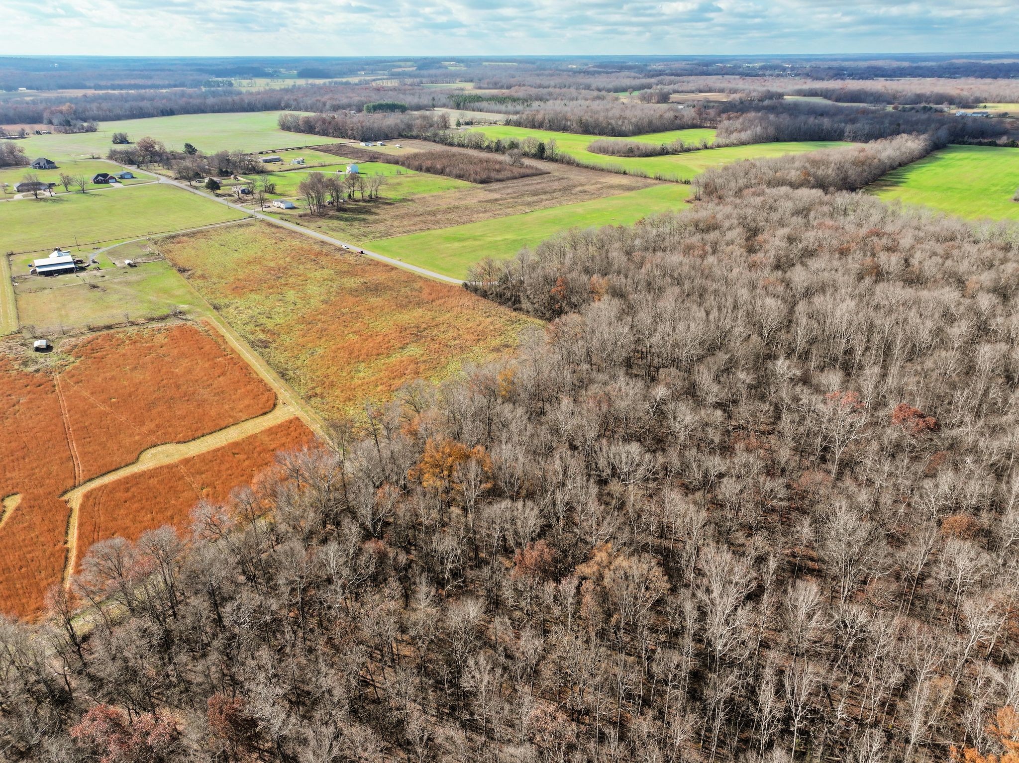 0 McAfee Road Morrison, TN 37357 - Photo 6 of 10 a view of a yard with an outdoor space