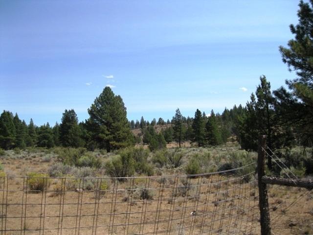 0 Godowa Springs Road Beatty, OR 97621 - Photo 3 of 12 Additional Photo