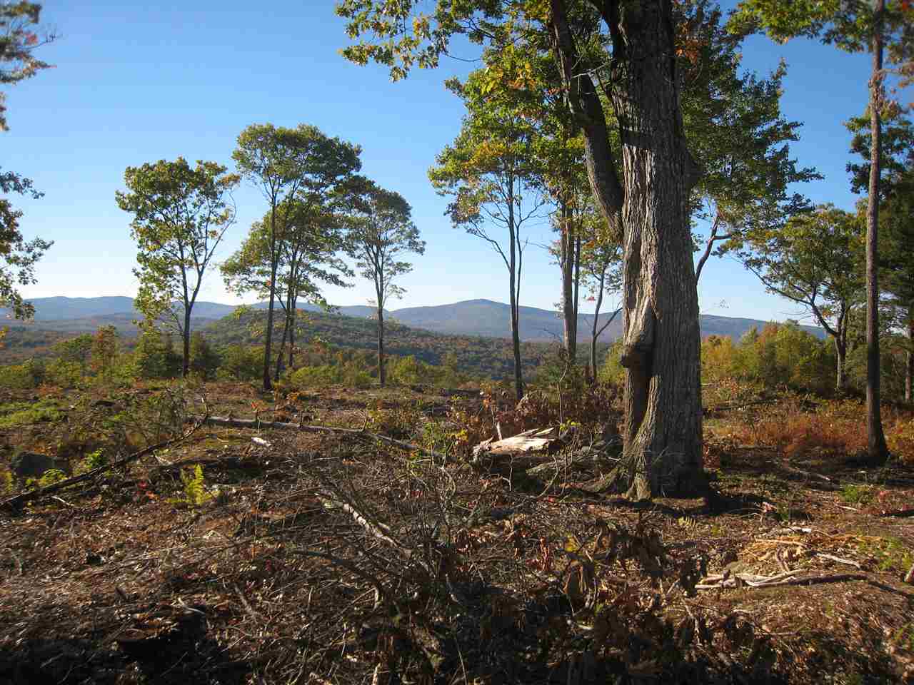 Dodge Pasture Road, Unit 3 Sunapee, NH 03782 - Photo 8 of 12