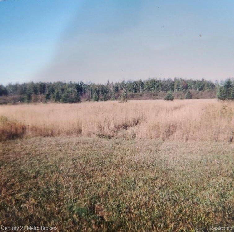 2325 East Petes Road Hessel, MI 49745 - Photo 23 of 25 Gallery Image 23