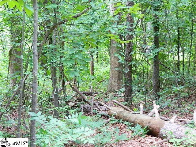 118 Cothran Road Belton, SC 29627 - Photo 21 of 30