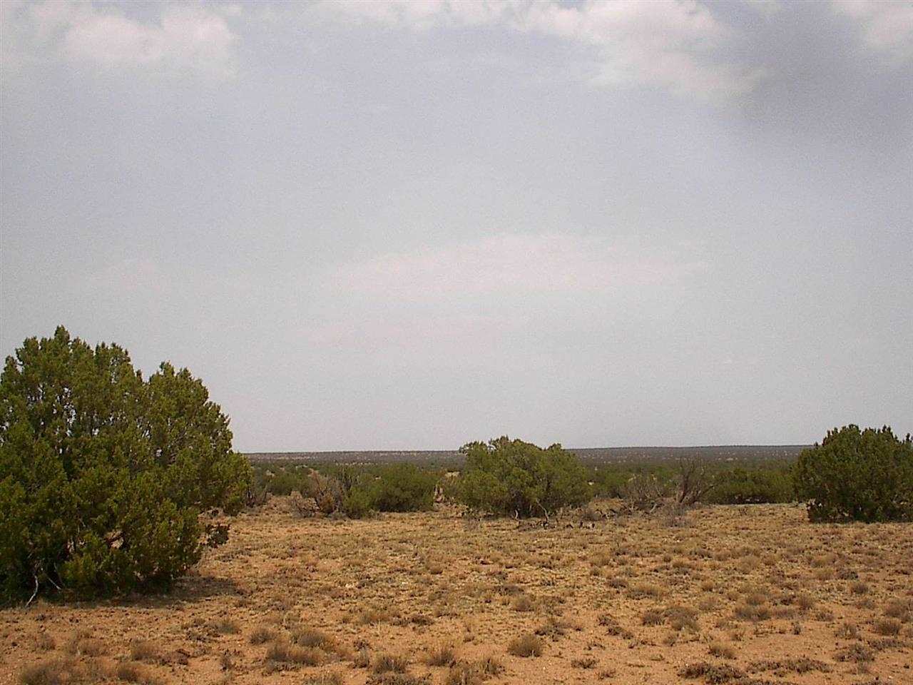 11 T14n R17e:nw4 Sw4 Heber, AZ 85928 - Photo 1 of 1