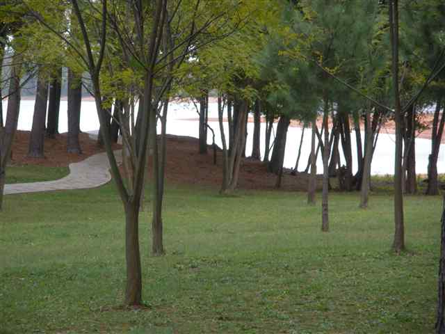 204 Maret Road Townville, SC 29689 - Photo 20 of 23 Gallery Image 20