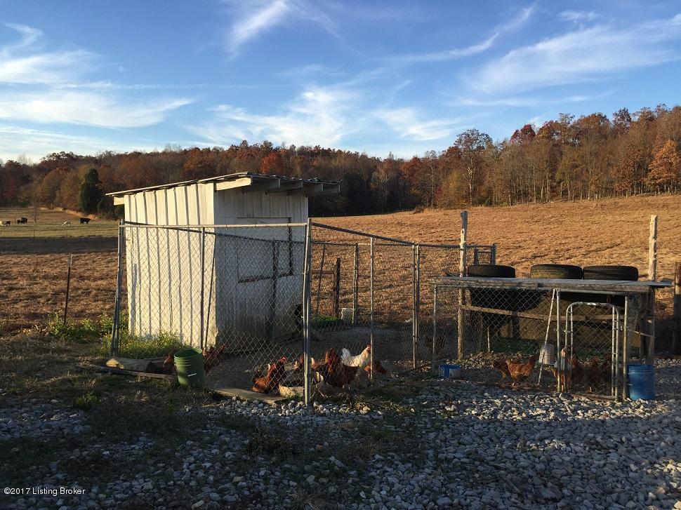2207 Rabbit Flat Road Caneyville, KY 42721 - Photo 25 of 34 18