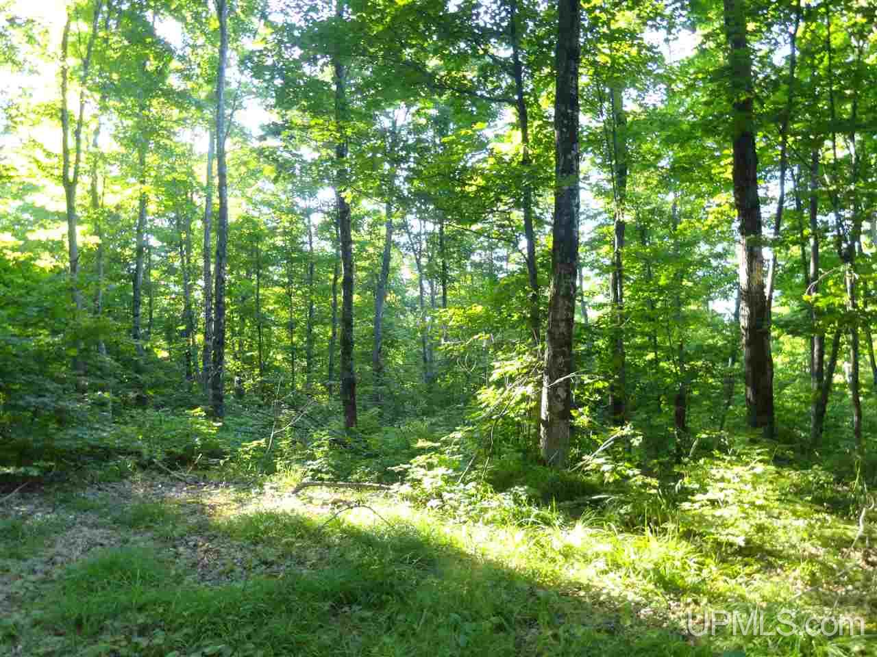 80 NORTH Off Co Road Ishpeming, MI 49849 - Photo 5 of 19