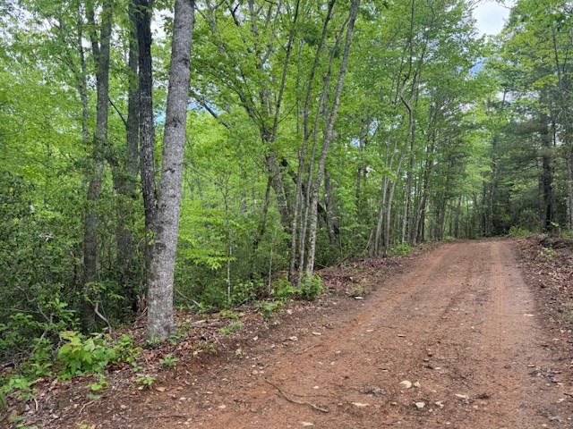 0 Tyler Lane Marble, NC 28905 - Photo 21 of 31