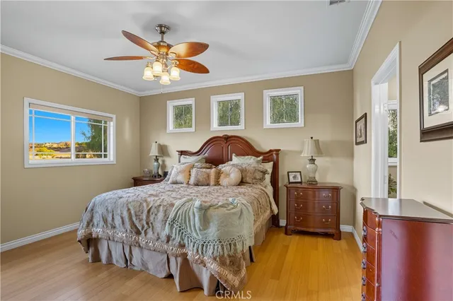 a view of a garden with an outdoor space