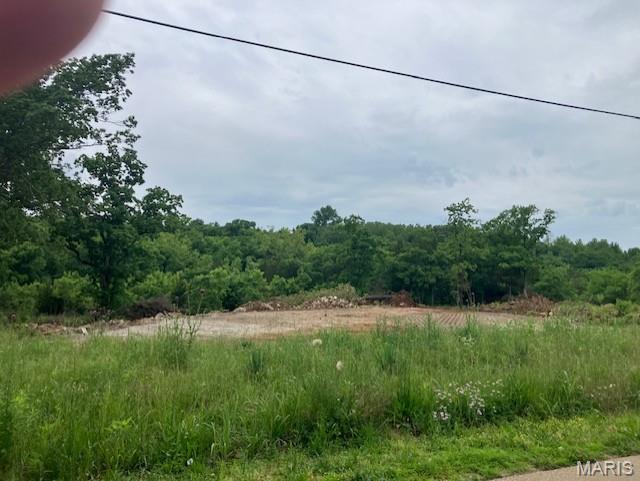 7051 Raider Road Bonne Terre, MO 63628 - Photo 3 of 3