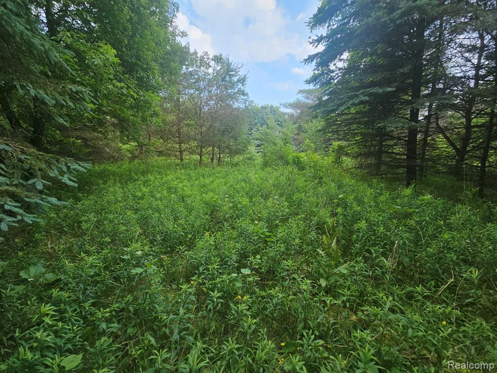 Vl Millville Road Lapeer, MI 48446 - Photo 9 of 15 Gallery Image 9