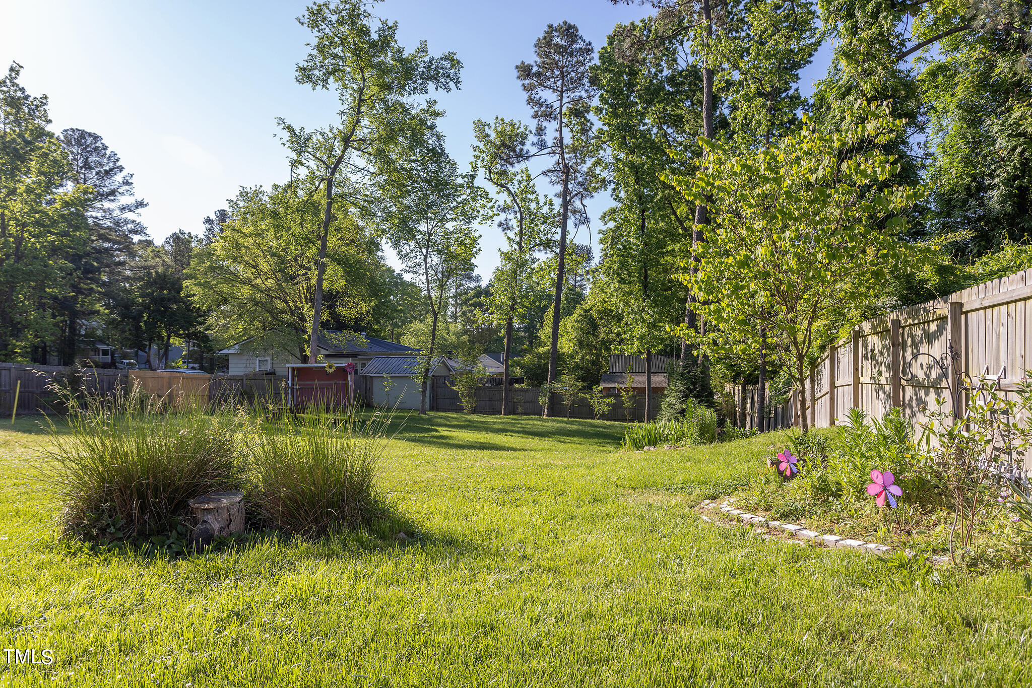 907 Cook Road Durham, NC 27713 - Photo 28 of 37 Blueberry Bush