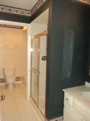 19-w286 Governors Trail Oak Brook, IL 60523 - Photo 10 of 17 a bathroom with a shower and a sink