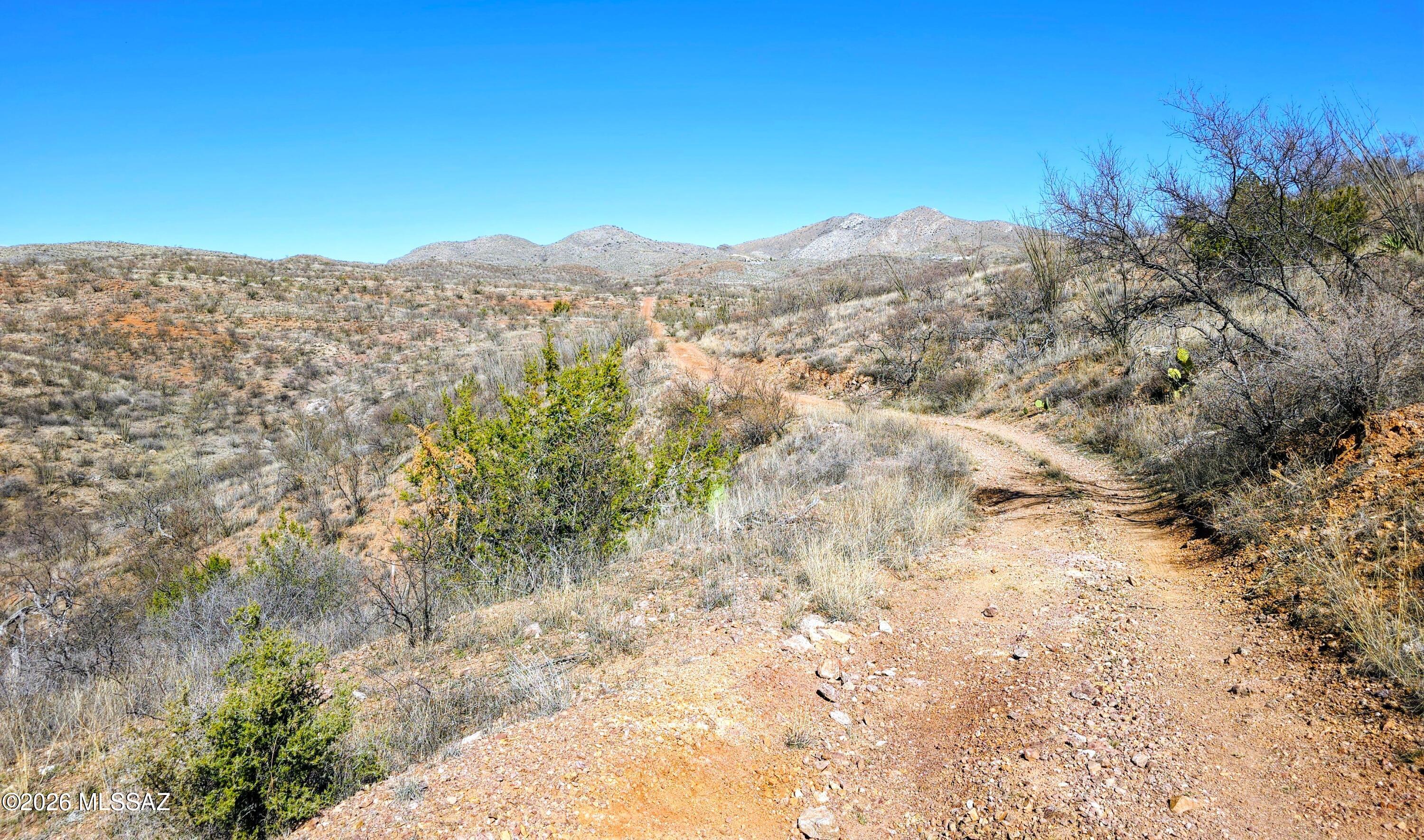 22200-blk South Red Cloud Mine Road South Vail, AZ 85641 - Photo 5 of 9