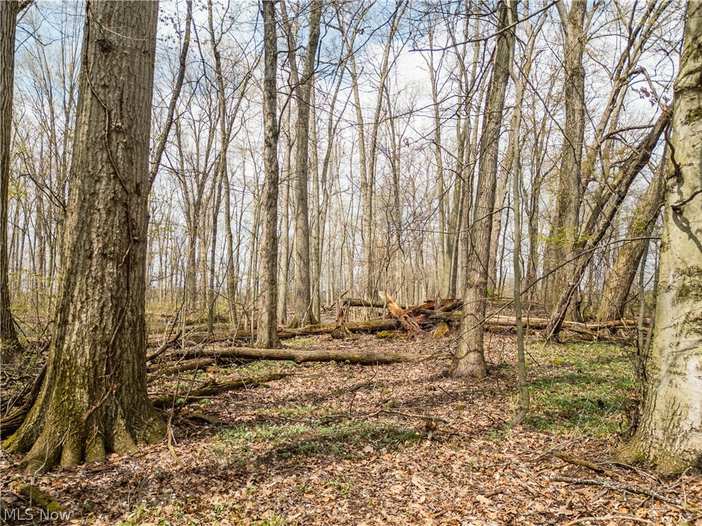Steiner Road Creston, OH 44217 - Photo 4 of 7 Gallery Image 4