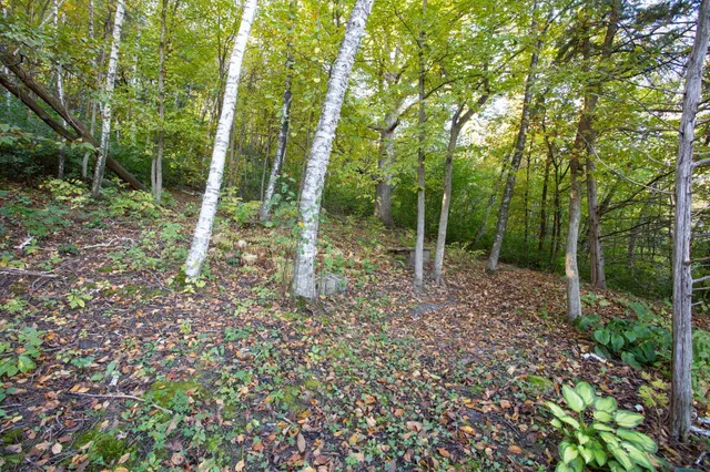 $295,000 | 1580 East Division Street, River Falls, WI 54022