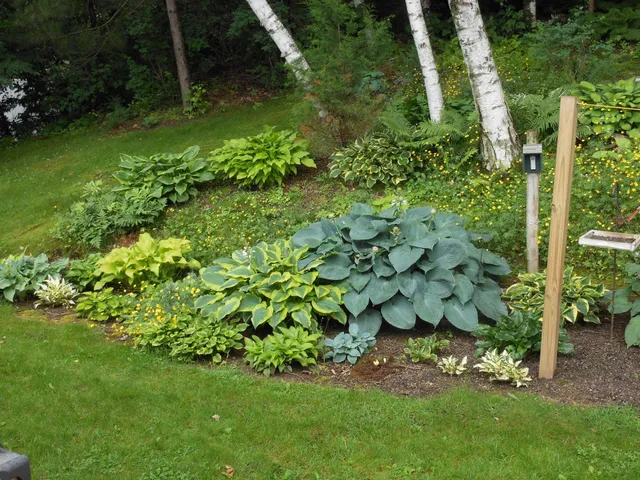 $295,000 | 1580 East Division Street, River Falls, WI 54022