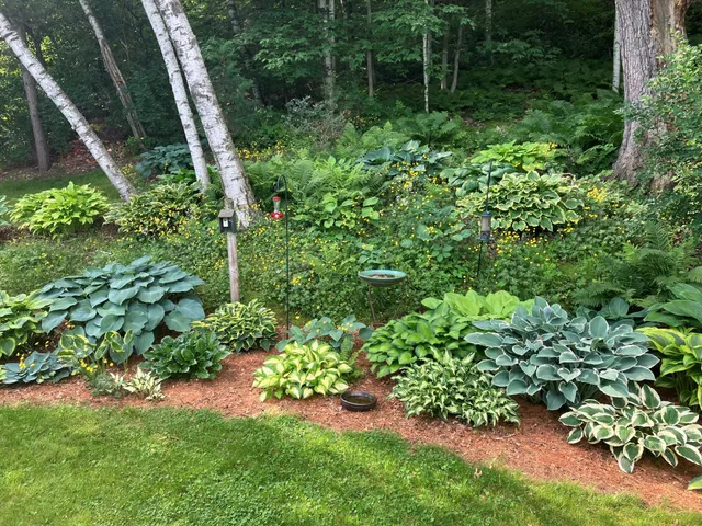 $295,000 | 1580 East Division Street, River Falls, WI 54022