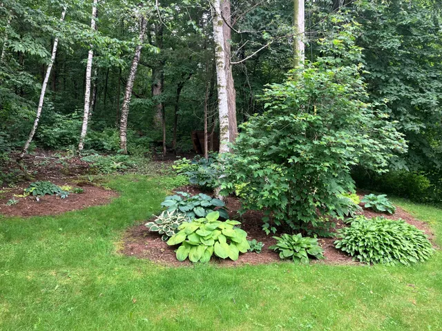 $295,000 | 1580 East Division Street, River Falls, WI 54022