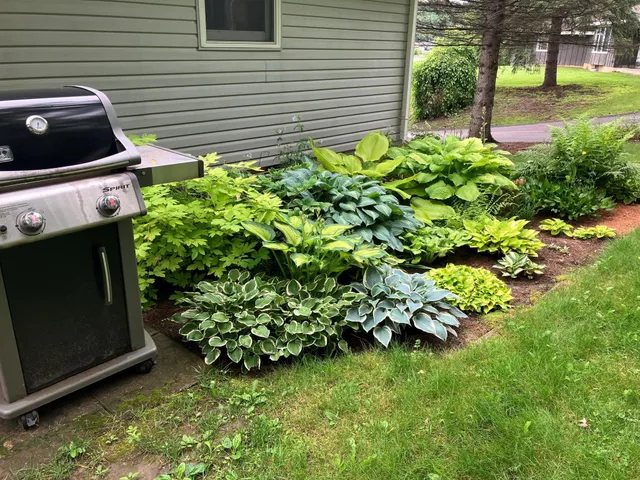 $295,000 | 1580 East Division Street, River Falls, WI 54022