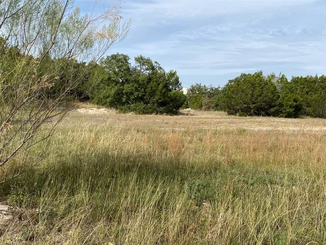 a view of yard with green space