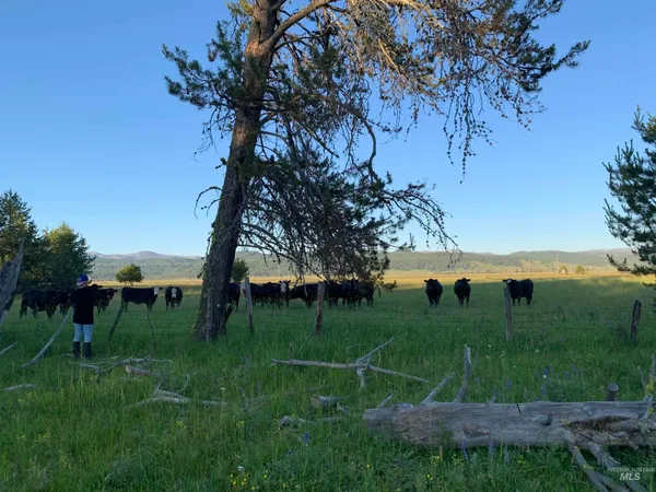 $699,999 | 13321 Highway 55, McCall, ID 83638