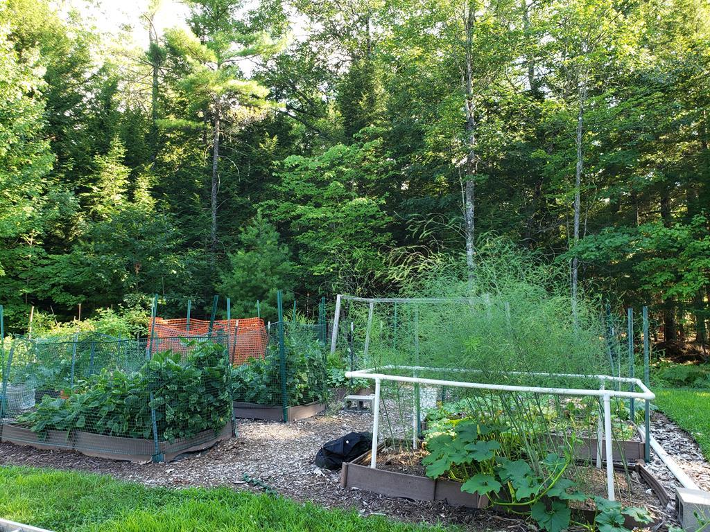 228 Castle Island Road Belgrade, ME 04917 - Photo 44 of 56 Raised bed gardens