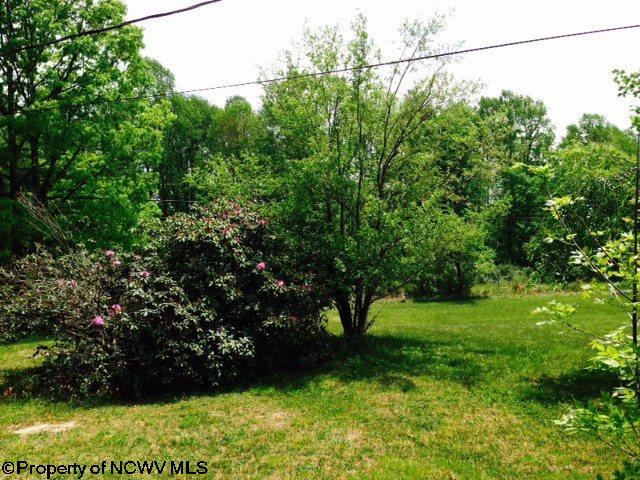 1511 Fairview Road Independence, WV 26374 - Photo 11 of 17 Gallery Image 11