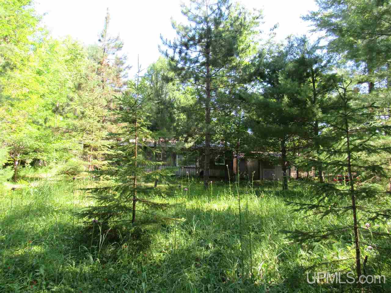 14650 Tracy Lake Road Covington, MI 49919 - Photo 36 of 44 Gallery Image 36