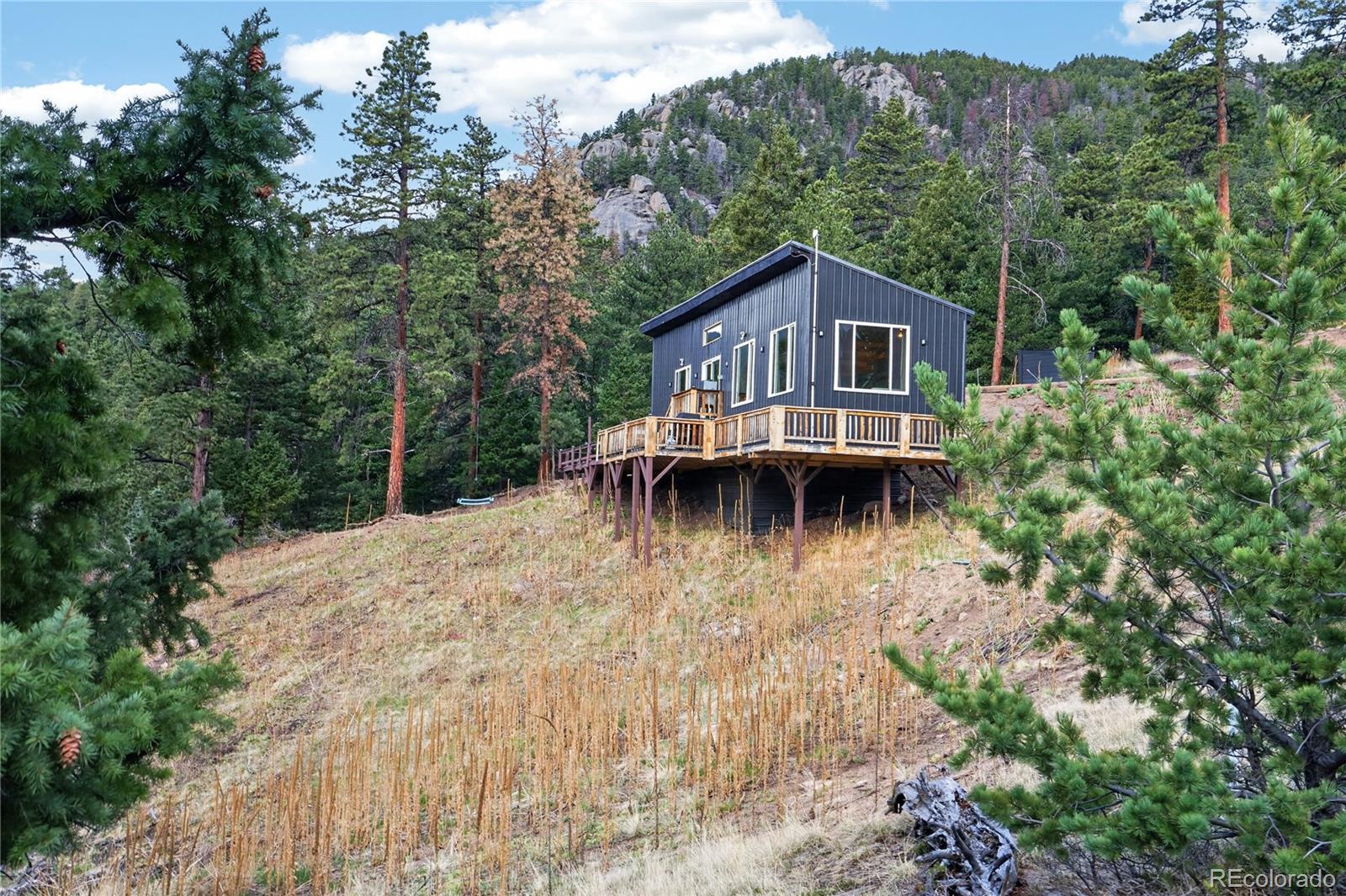 161 Highland Circle Rye, CO 81069 - Photo 5 of 26 a view of a house with a yard