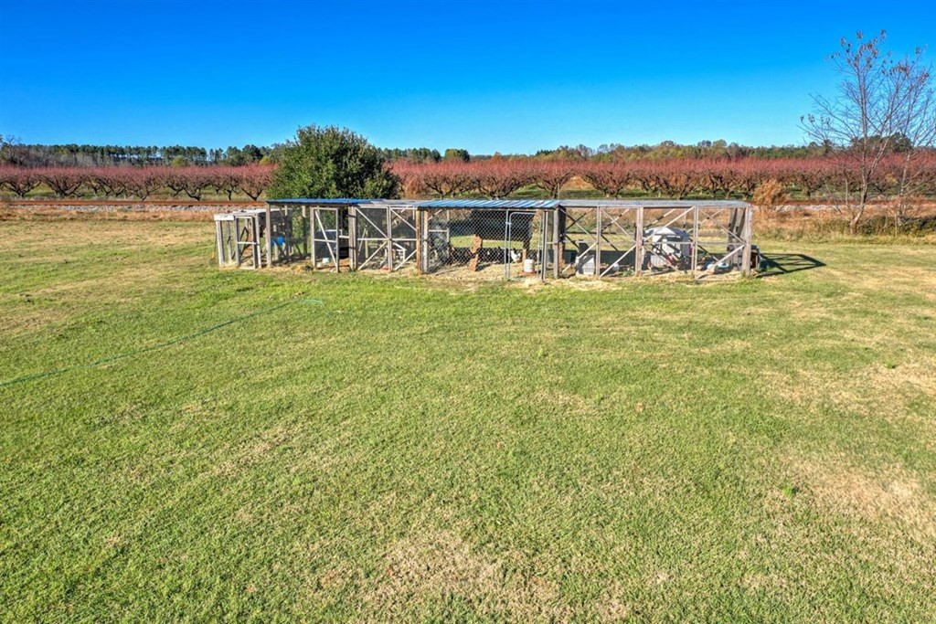 229 Early Sims Road Ridge Spring, SC 29129 - Photo 40 of 41