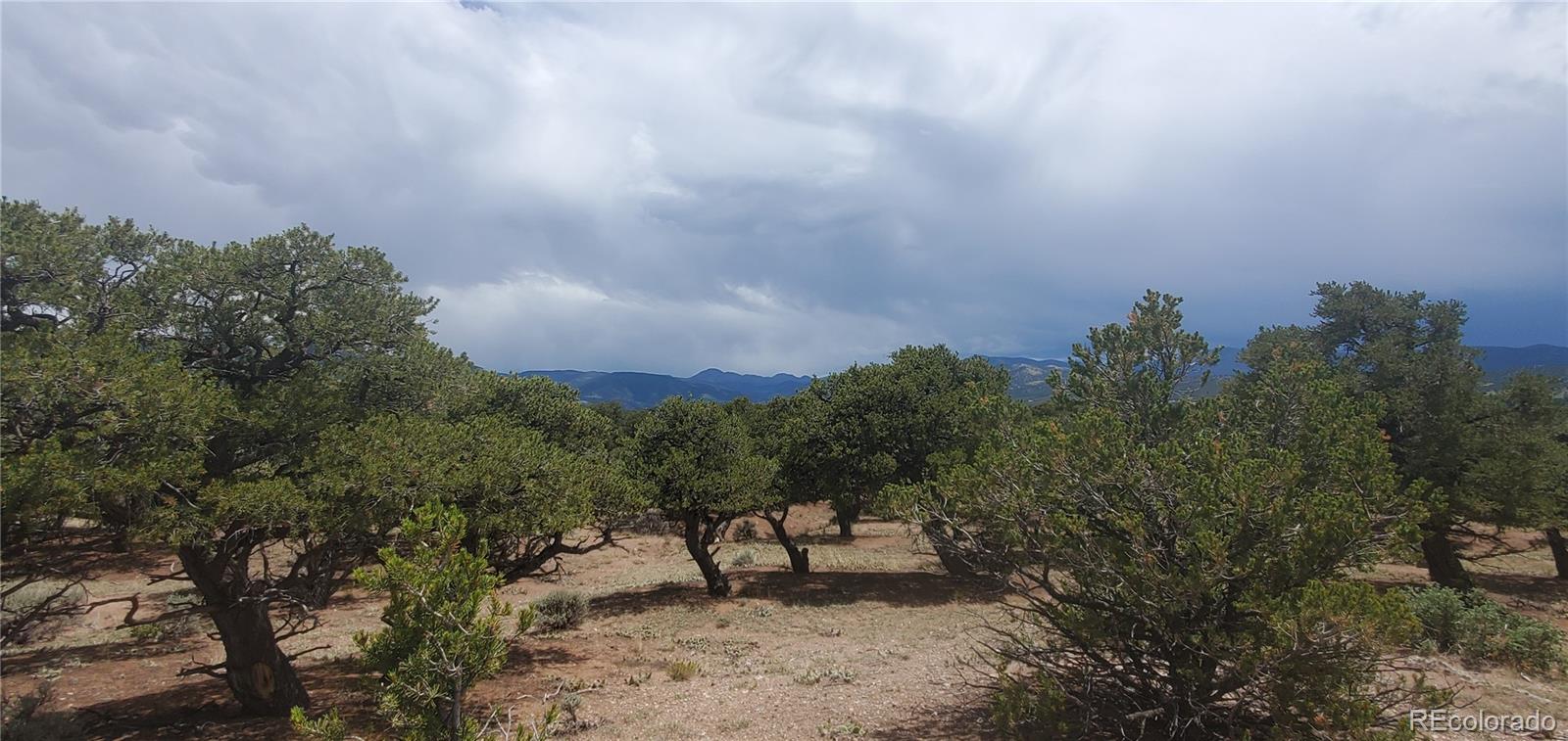 Lot3696 Branch Road Fort Garland, CO 81133 - Photo 15 of 20 Gallery Image 15