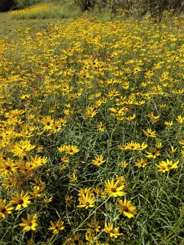 $449,999 | 27186 Fields Store Road, Waller, TX 77484