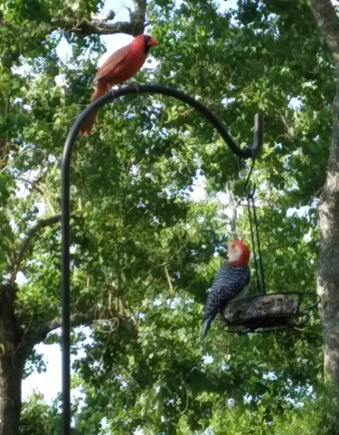 $449,999 | 27186 Fields Store Road, Waller, TX 77484