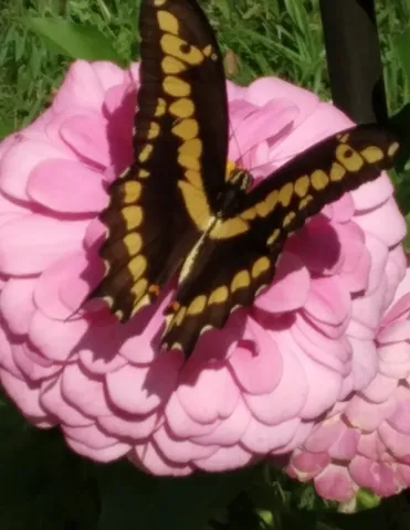 $449,999 | 27186 Fields Store Road, Waller, TX 77484