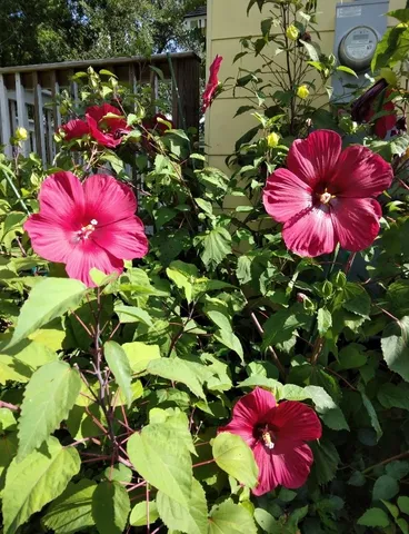 $449,999 | 27186 Fields Store Road, Waller, TX 77484