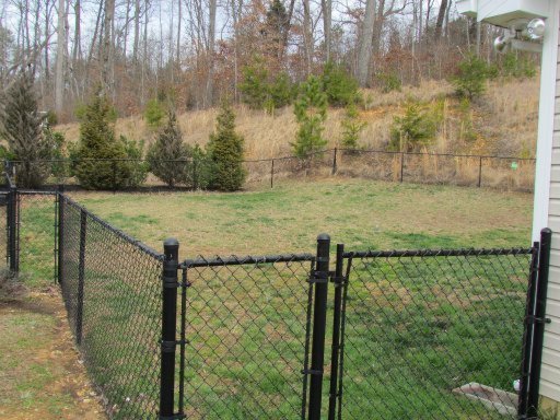 6506 Hugh Willis Road Powell, TN 37849 - Photo 4 of 11 Additional Photo