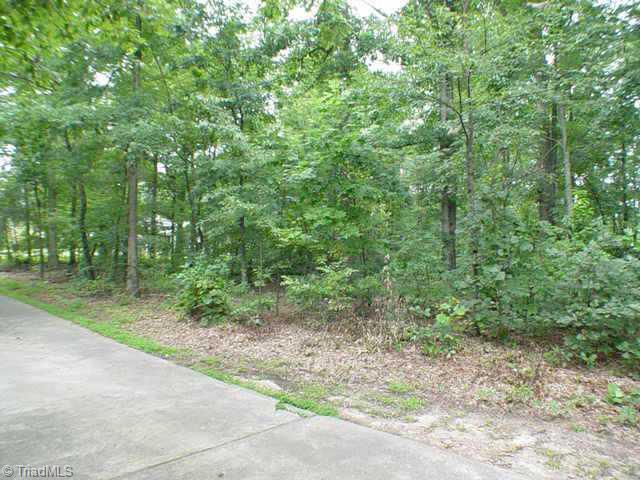 0 Marion's Country Lane Rural Hall, NC 27045 - Photo 2 of 4 Other.