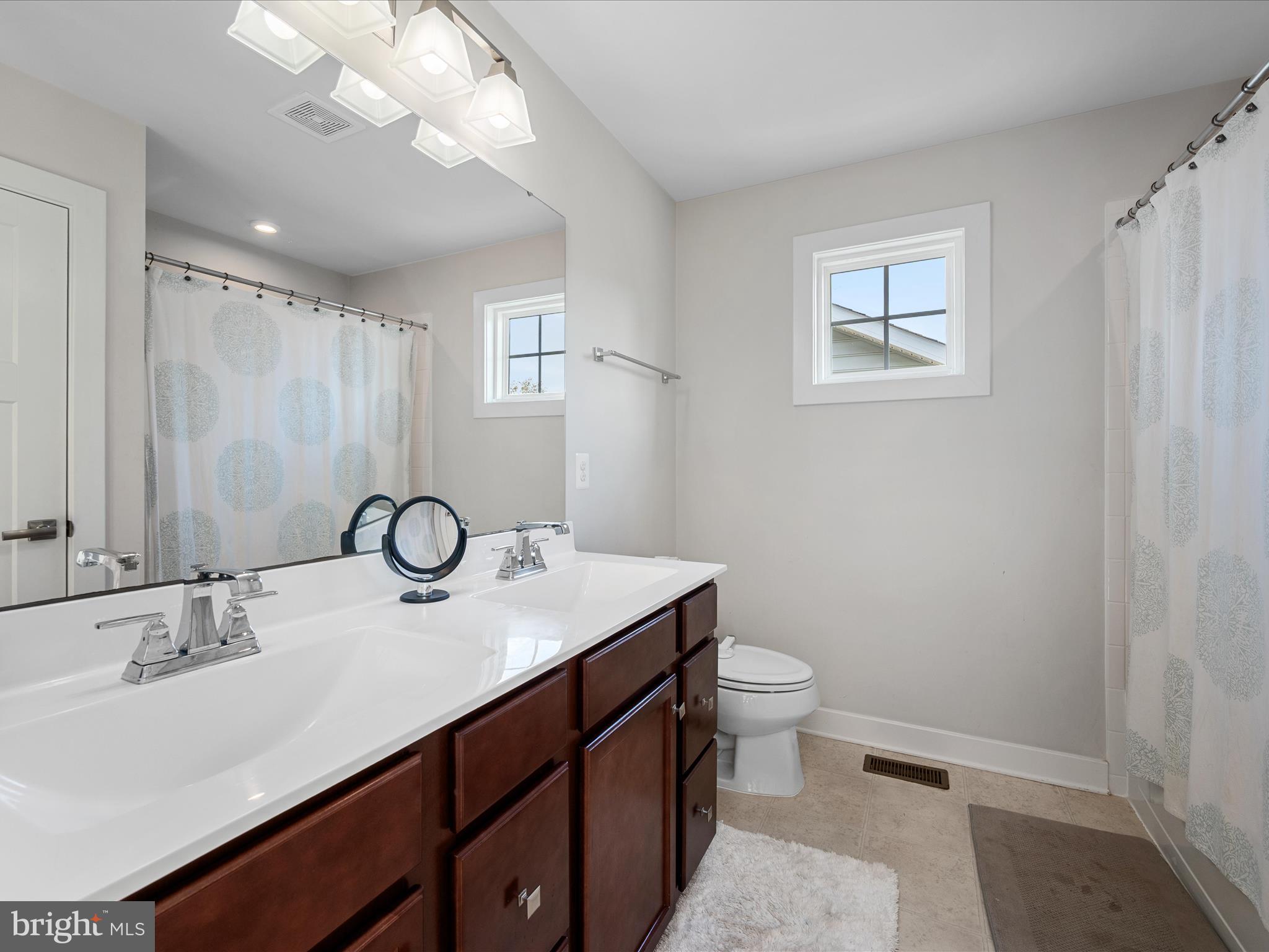 124 Emperor Drive White Post, VA 22663 - Photo 9 of 28 a bathroom with a sink a toilet a mirror and shower