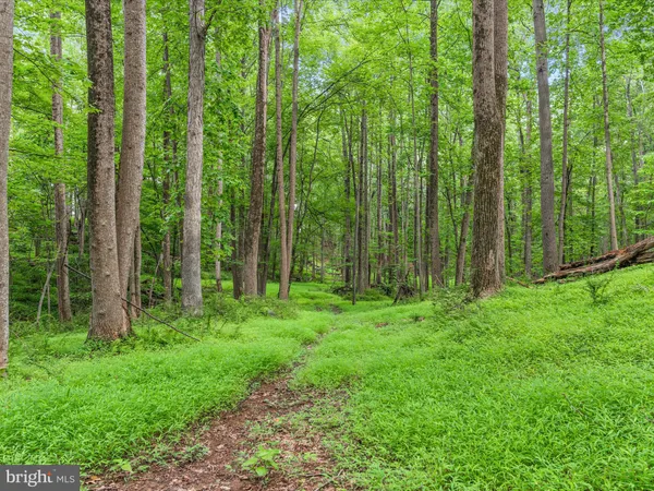 $1,180,000 | 17101 Overhill Road, Derwood, MD 20855