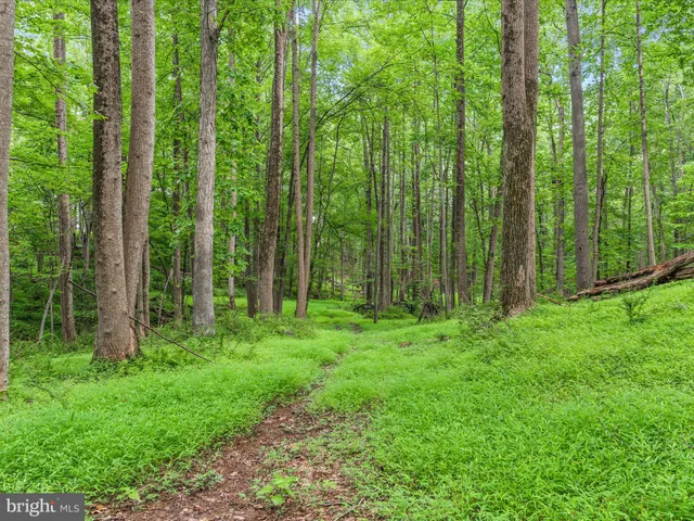 $1,250,000 | 17101 Overhill Road, Derwood, MD 20855