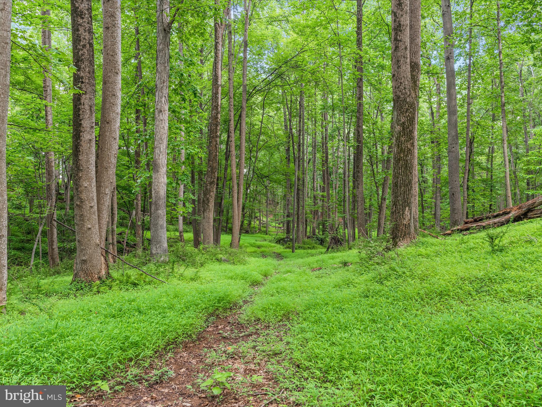 17101 Overhill Road Derwood, MD 20855 - Photo 59 of 82 17101 Overhill Rd-056